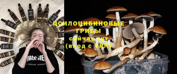 мяу мяу мука Алексин