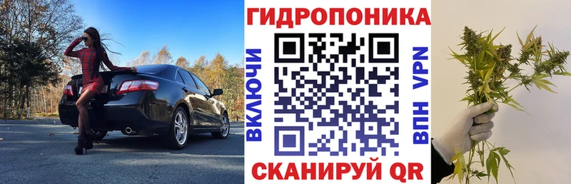 Конопля Amnesia Райчихинск